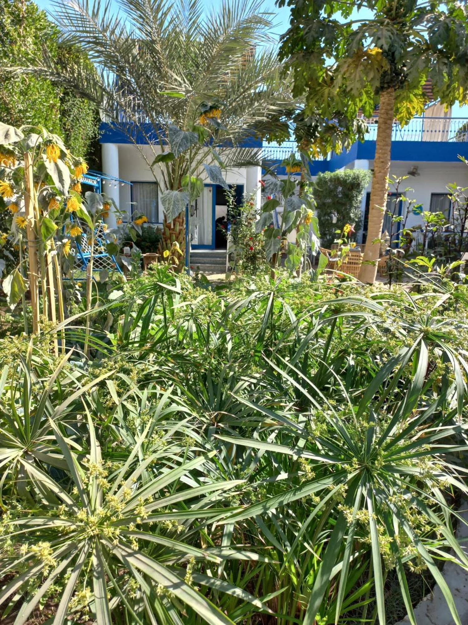 Villa Kaslan Apartments Luxor Exterior foto